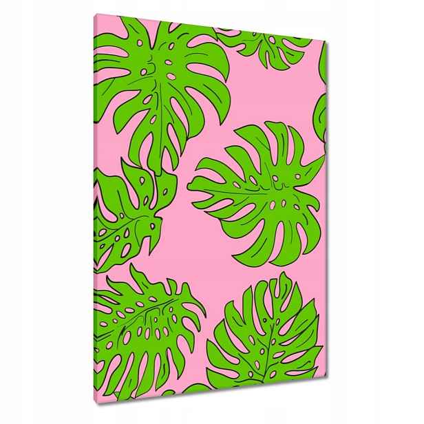 Obrazy 70x100 Monstera Zelená Růže