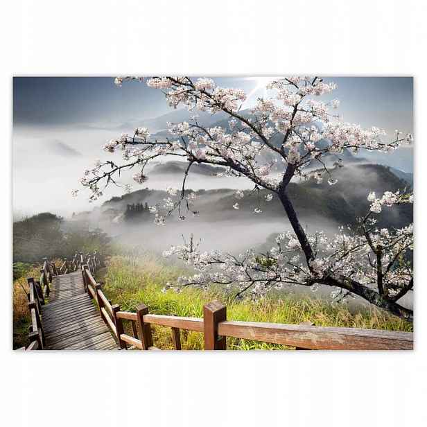 Fototapety 152x104 Japonsko Kvetoucí višeň