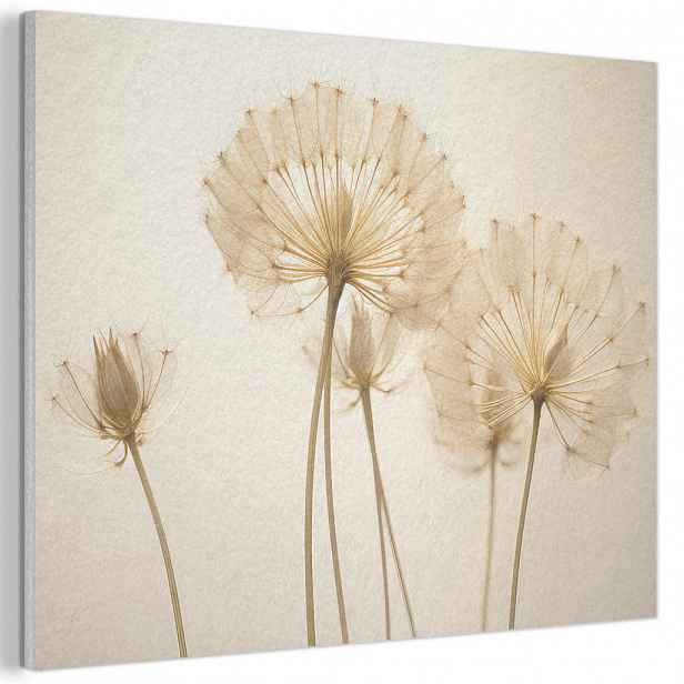 MuchoWow AKUSTICKÝ obraz Sluneční světlo - Pampeliška - Botanické - Květiny 100x70 cm