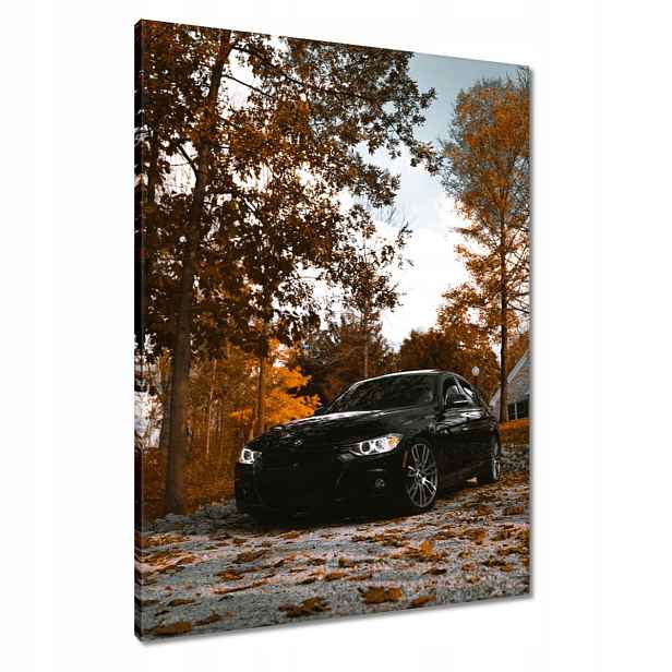 Černé obrazy 60x80 Bmw Podzim