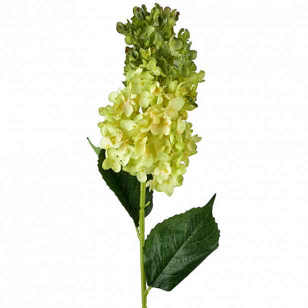 Mondex UMĚLÁ KVĚTINOVÁ VĚTEV Viridis, 80 cm