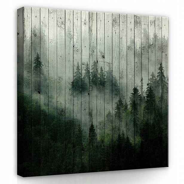 Obraz Na Plátně Canvas 80x80 Les Mlha Hory Desky