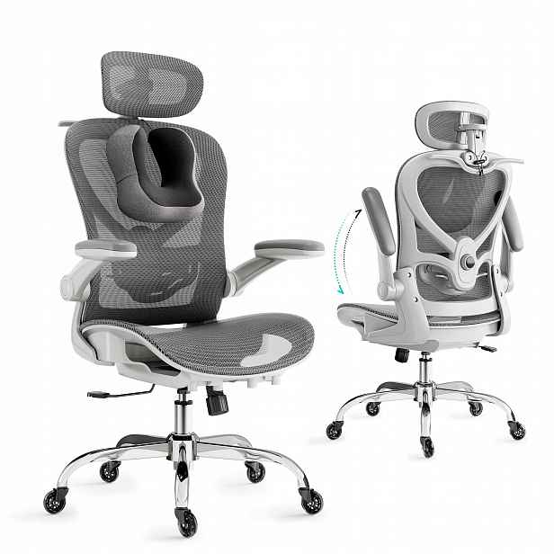 Ergonomické Kancelářské Křeslo Pro1 Šedé s opěrkou hlavy a bederní opěrkou