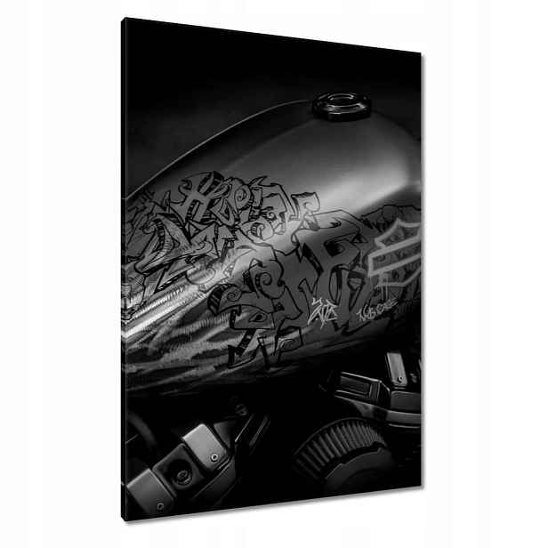 Obrazy 70x100 Harley Davidson Motocykl