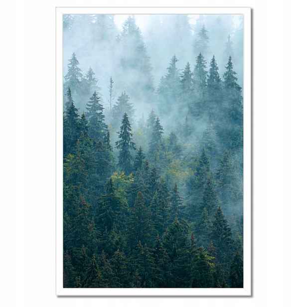 Plakát v bílém rámu 40x60 Les v mlze Cestování