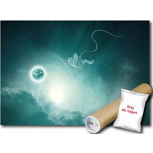 Fototapeta Astronauta 5A F2XL 312x219 F12888