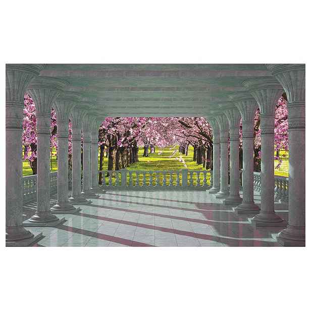 Fototapeta Kvetoucí oblouky Višeň Vinylová alej 368x254 lepidlo