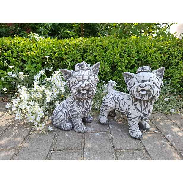 Betonové figurky Pár Yorků Sada 2 kusů figurek Pejsek York