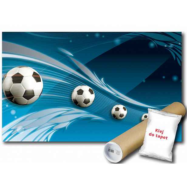 Fototapeta Piłka Sport Gol 13A F2XL 312x219 F3385