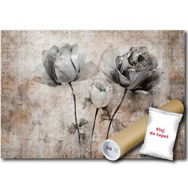 Vinylová Fototapeta Květiny Růže Vintage 254x184