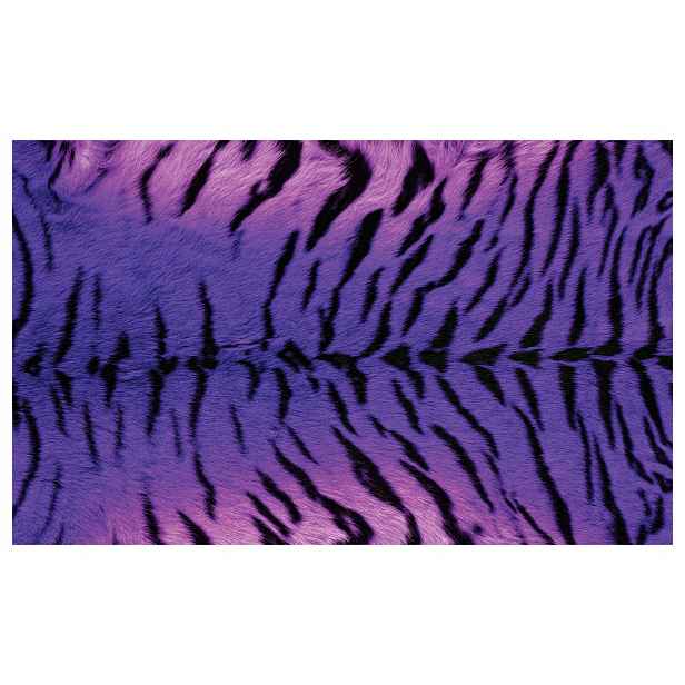 Fototapeta Fialová flízovina Tygr Abstrakt Kožešina Pruhy 300x210 lepidlo