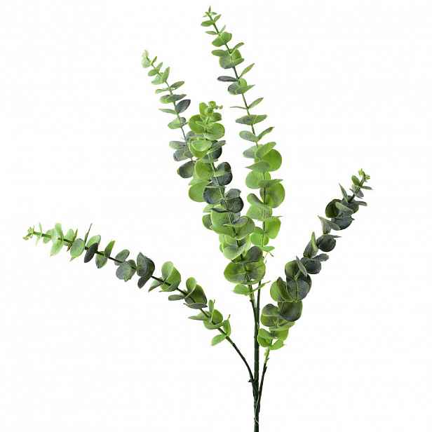 Mondex UMĚLÁ VĚTEV Eukalyptus 80 cm, zelená