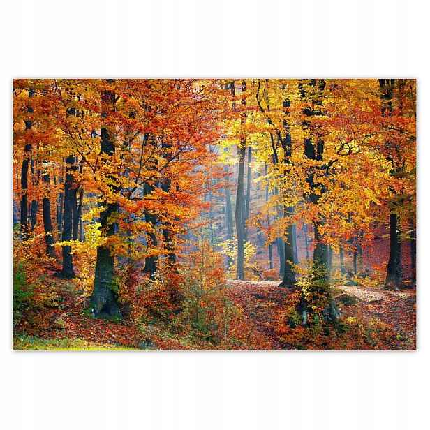 Fototapety 104x70 Zlatý podzim