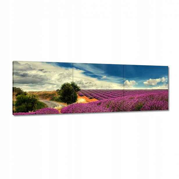 Obrazy 120x40 Levandulová krajina