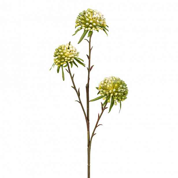 Umělá Rostlina Allium, Výška: 62cm