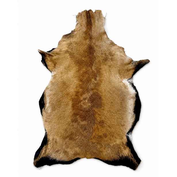 Ovčí kůže „kameruňská“ Světle hnědá-60 cm/S (Malé jehněčí) 100% přírodní!