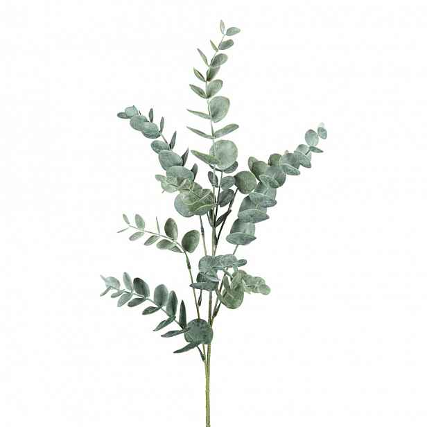 Umělá Rostlina Eukalyptus-Větev, V: 43cm