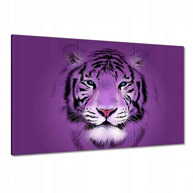 Obrazy 120x80 Fialový obrázek tygra Tigera