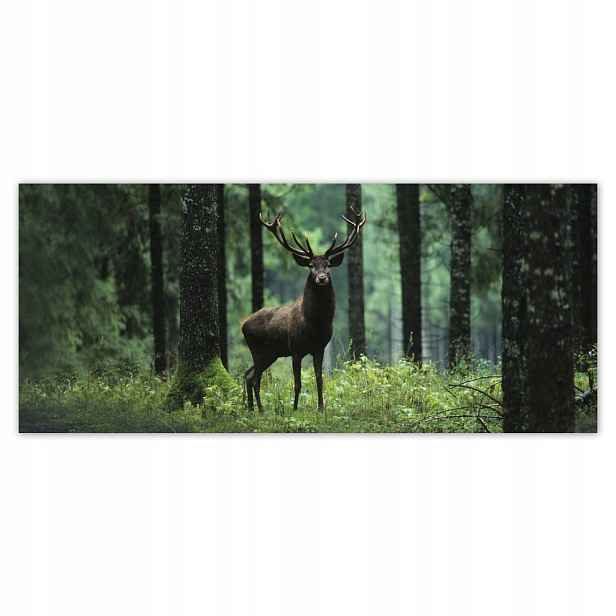 Fototapety flizelina 211x91 Jelen uprostřed lesa