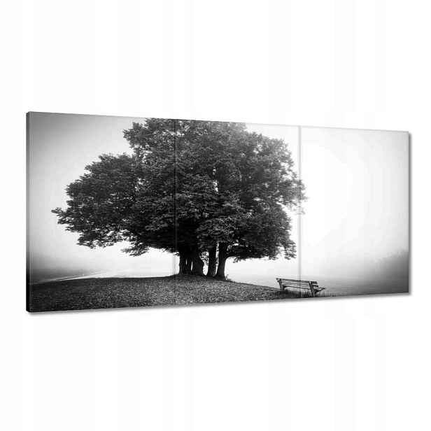 Obrazy 180x90 Krajina v šedé barvě Bw