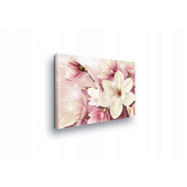 Obraz 80x60 Magnolie květiny jaro jemnost pastel růžová bílá