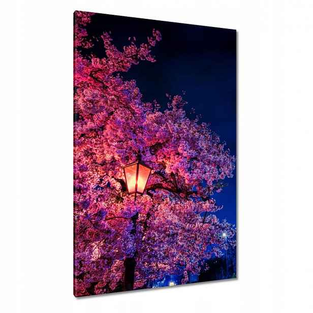 Obrazy 80x120 Motiv do ložnice Lampa