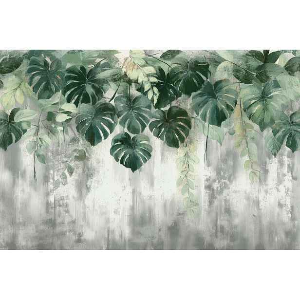 Fototapeta Flizelina Stěna Beton Rostlinnost Listy Monstera 208x146 130g