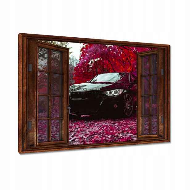 Černé obrazy 90x60 Bmw Podzim