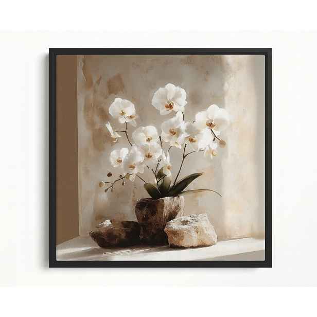 Obraz Rám Americký Box Dekorace Květiny Bílý Orchidej Zen 50x50