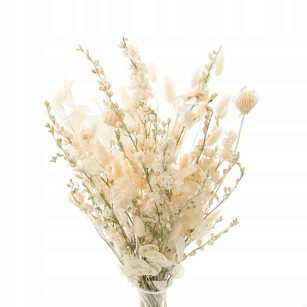 Sada sušených květin do vázy Cream ostruha, lunaria, fenkule