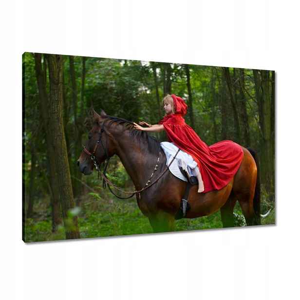 Obrazy 90x60 Kůň Jezdectví