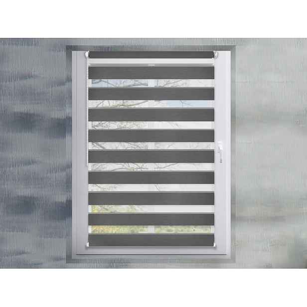 FEXI Roleta Den a noc, Silk ocelová, A 097, 150x57 cm