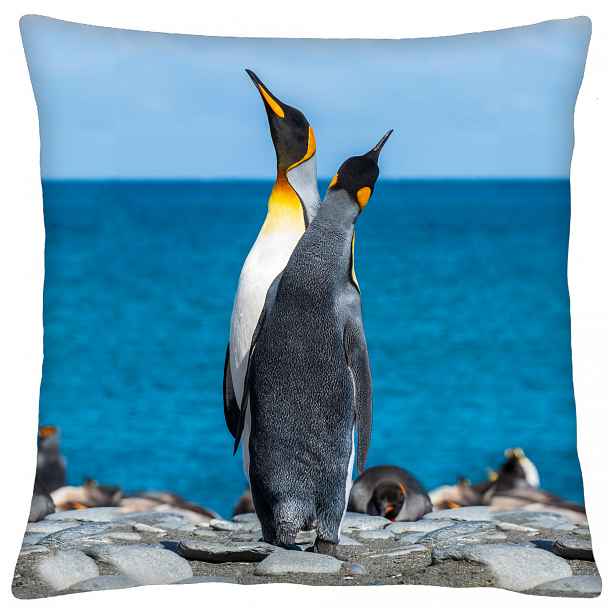 Povlak na polštář ANIMAL 61 - TUČŇÁCI  Mybesthome 40x40 cm