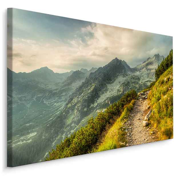 Plátno Cesta V Horách Varianta: 90x60
