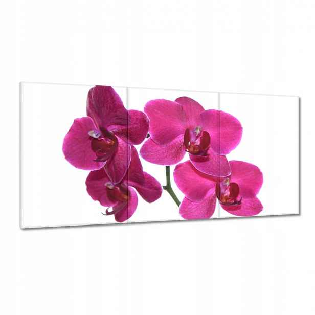 Obrazy 180x90 Fialový orchidej