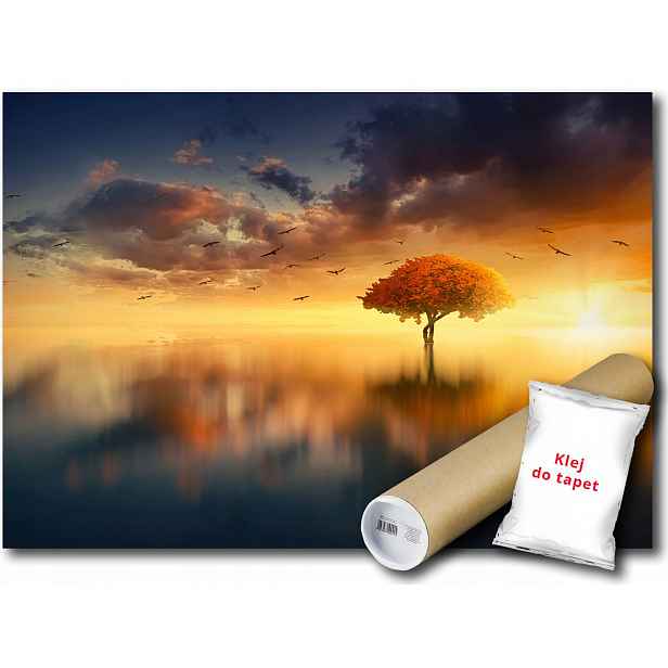 Vinylová Fototapeta Krajina Pohled Voda Západ Slunce Strom Ptáci 152x104