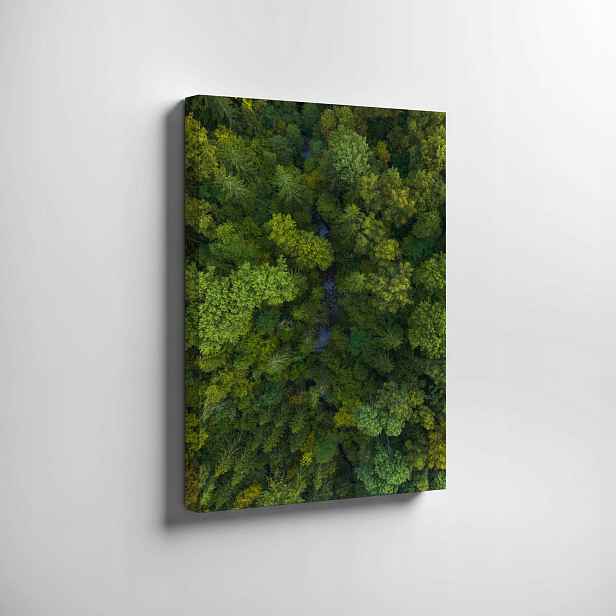Obraz na plátně Les příroda na zeď 70x50 cm