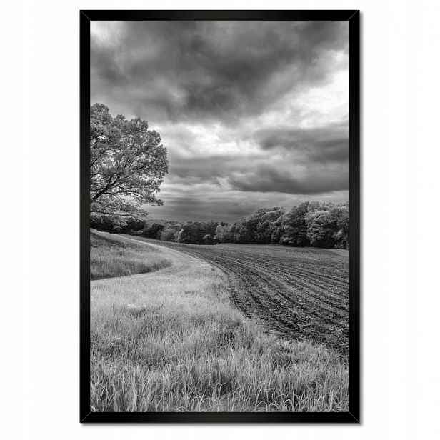 Plakáty v rámu 40x60 Černobílé pole