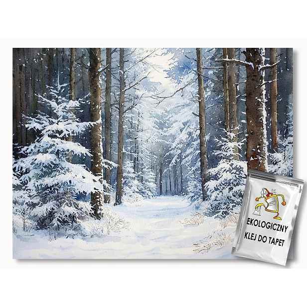 Fototapeta Flizelina Krajina Les Stromy Cesta Sníh Zima Mráz 416x290 130g