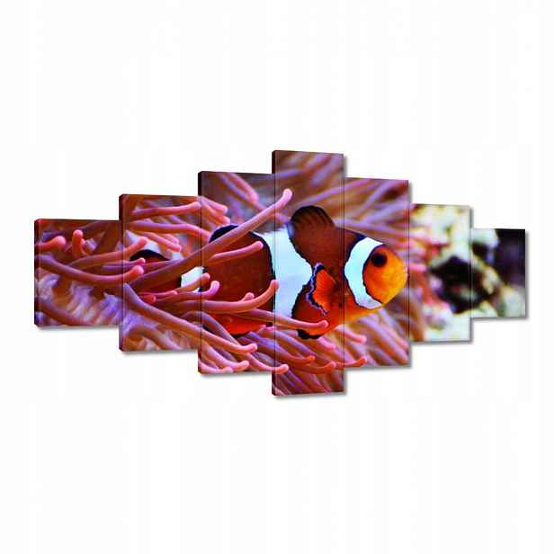 Obrazy 210x100 Oranžová rybka Rafa