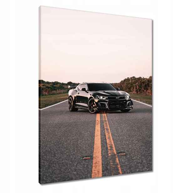 Obrazy 60x80 Auto Fura Sport