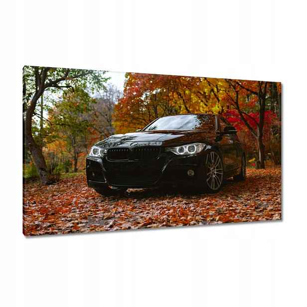 Obrazy 120x70 Černé Bmw Podzim