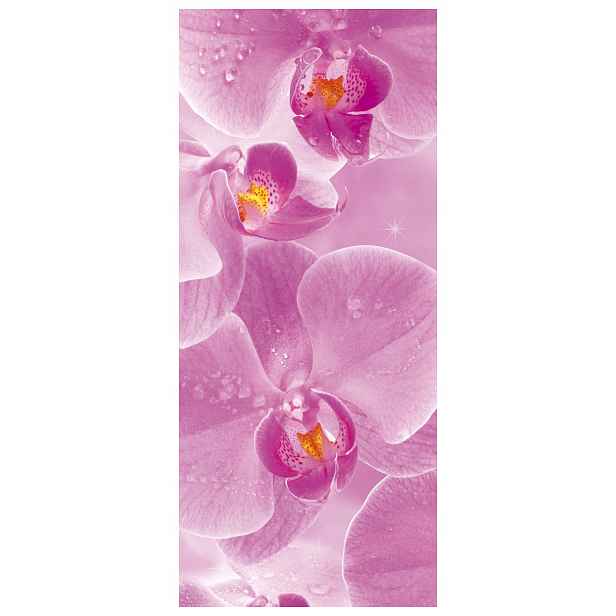 Samolepicí Samolepicí Fototapeta Růžové orchideje Elegance a klid 91x211