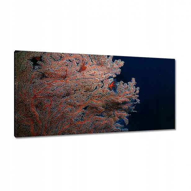 Obrazy 115x55 Modrý oceán s útesem
