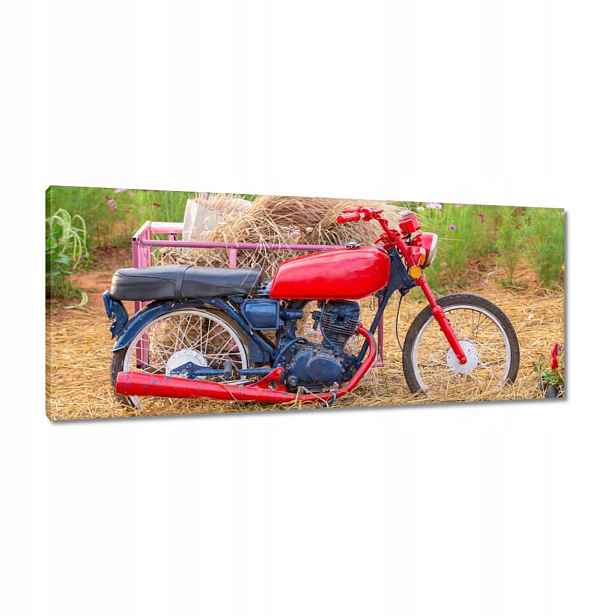 Obrazy 100x40 Červený motocykl Květiny