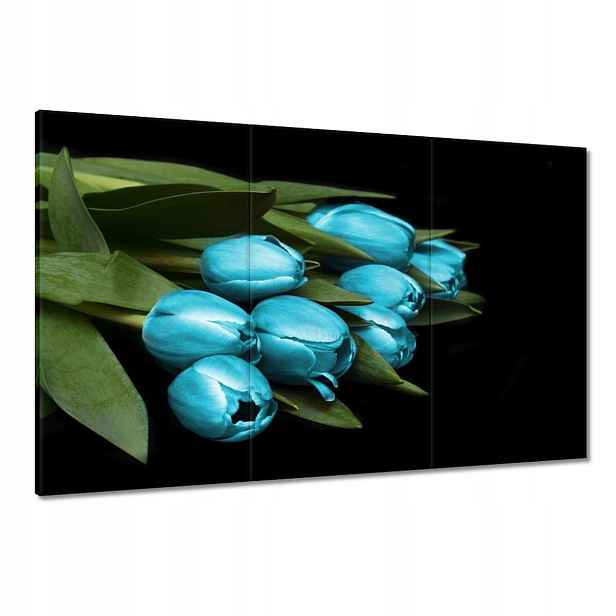 Obrazy 120x80 Tyrkysové tulipány Květina