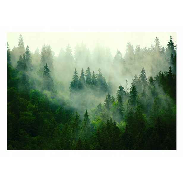 Fototapeta Mlhavý Les Skandinávský styl 368x280