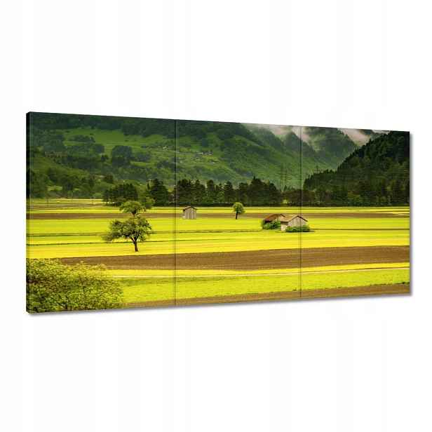 Obrazy 120x60 Zelené lány