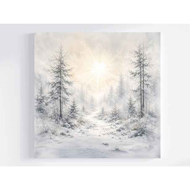 Obraz Na Plátně Canvas Les Stezka Zima Mráz Sníh Slunce 50x50