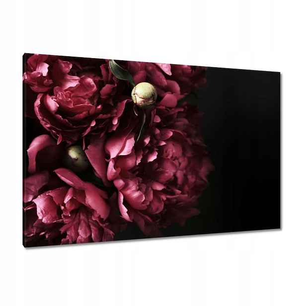 Obrazy 120x80 Krásné fialové pivoňky